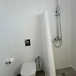 Vila Casa Zen Mykonos *